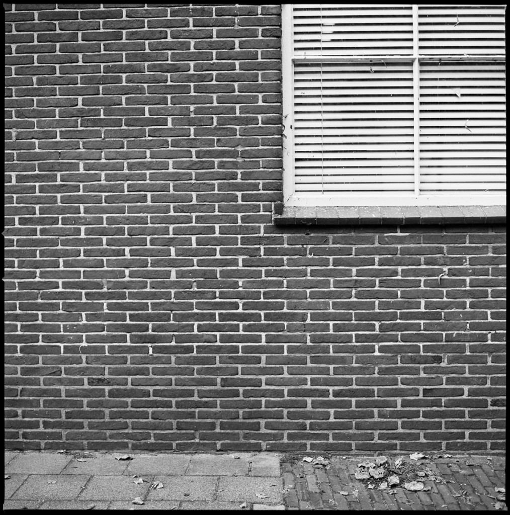 brick wall window blinds FRANK ELEVELD